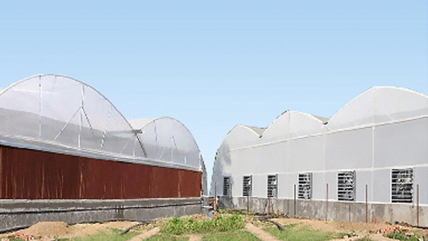 Climate Control Greenhouse